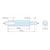 Disegno quotato 60 mm / 14 mm, Distanziatore esagonale filettato maschio/femmina acciaio zincato giallo senza piombo M8 - chiave da 13 mm